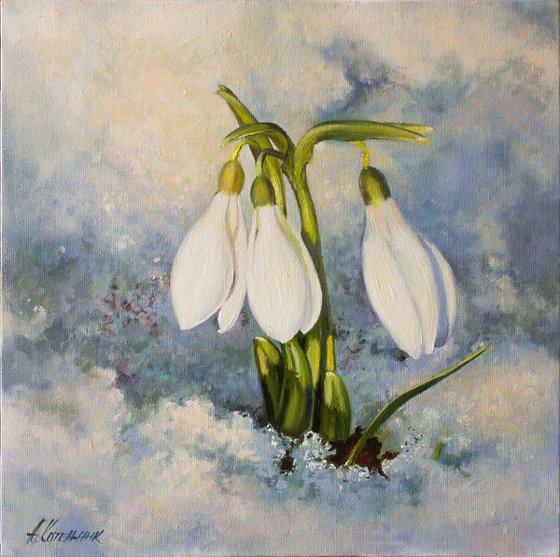 Snowdrops