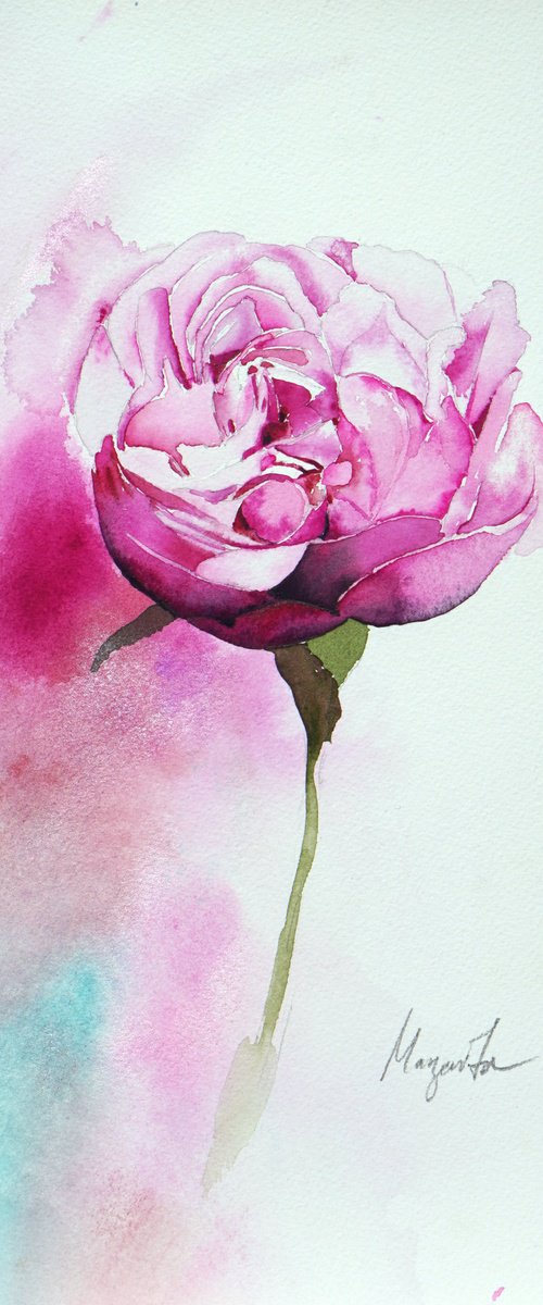 Einzelblüte by Margarita Fischer