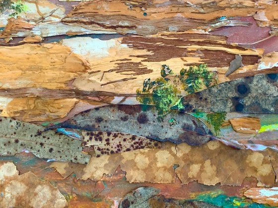 Outback, Australia