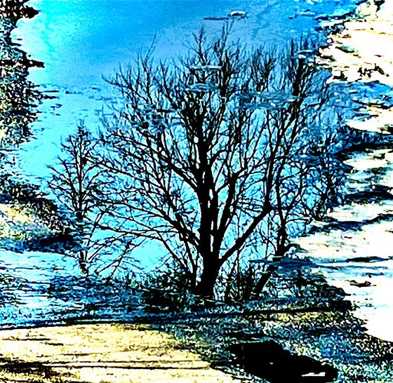 Azure Solitude