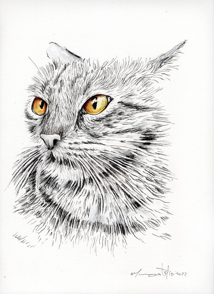 Urban And Pop Animal Ink Drawing By Maurizio Puglisi, 9 X 13", Romeo, Original Artwork