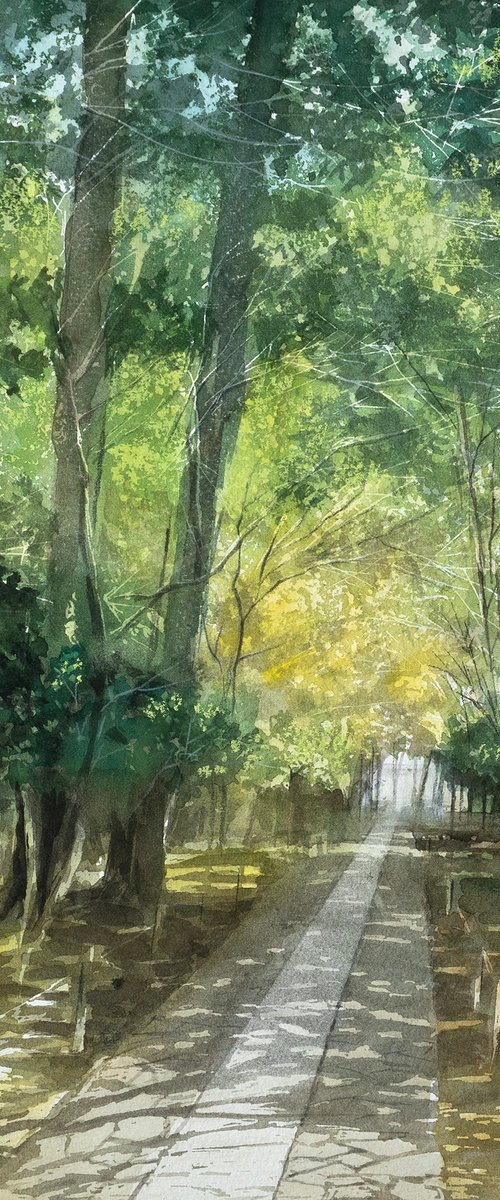 Early Summer Light on the Temple Path by Masato Watanabe