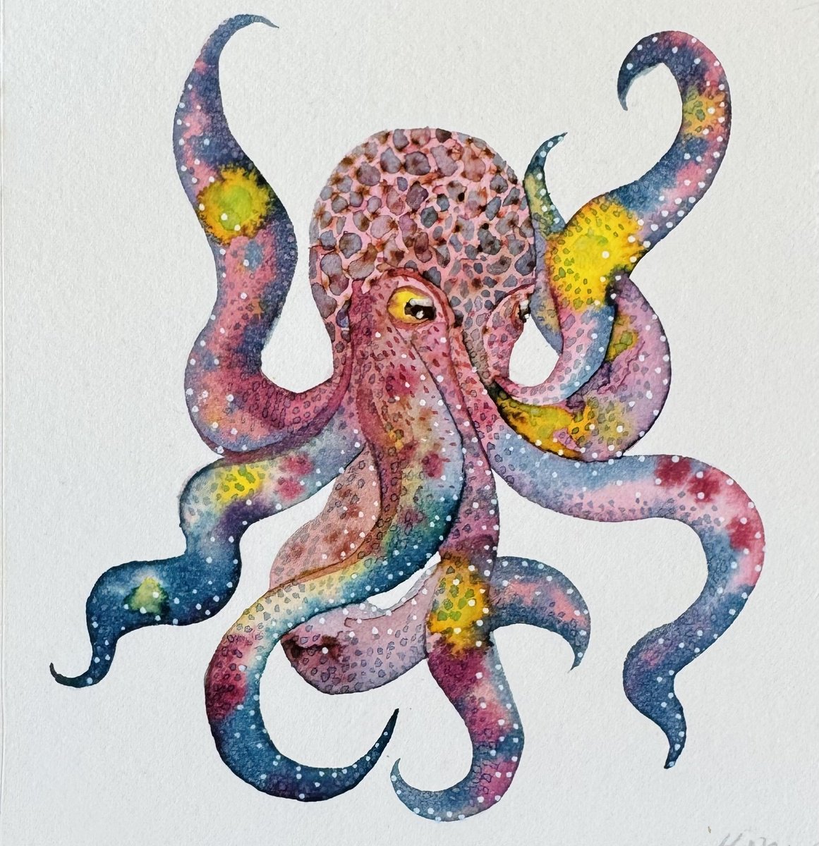 Abstract Watercolour Octopus by Kate Mac