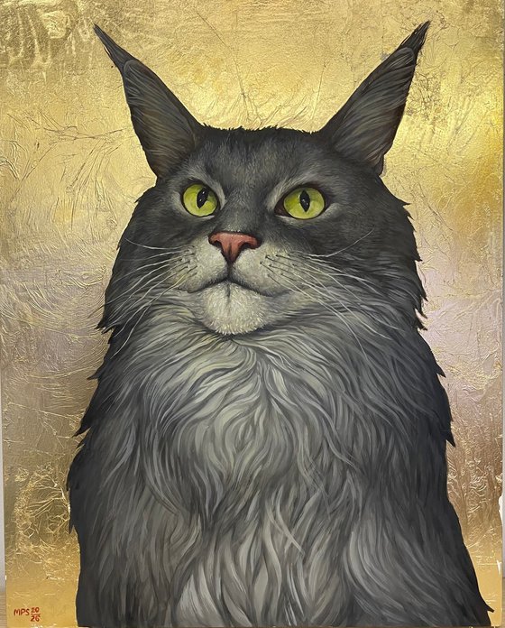 Maine Coon Simon