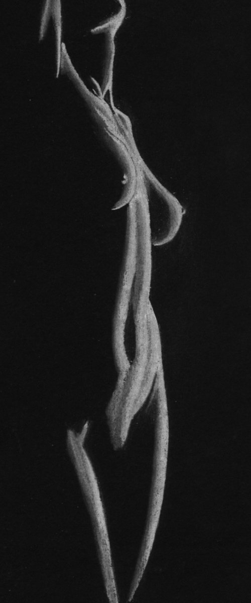 Shadow Series 2021 h by Paul Stowe