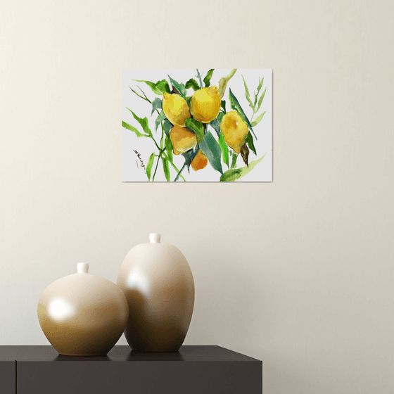 Lemon Tree