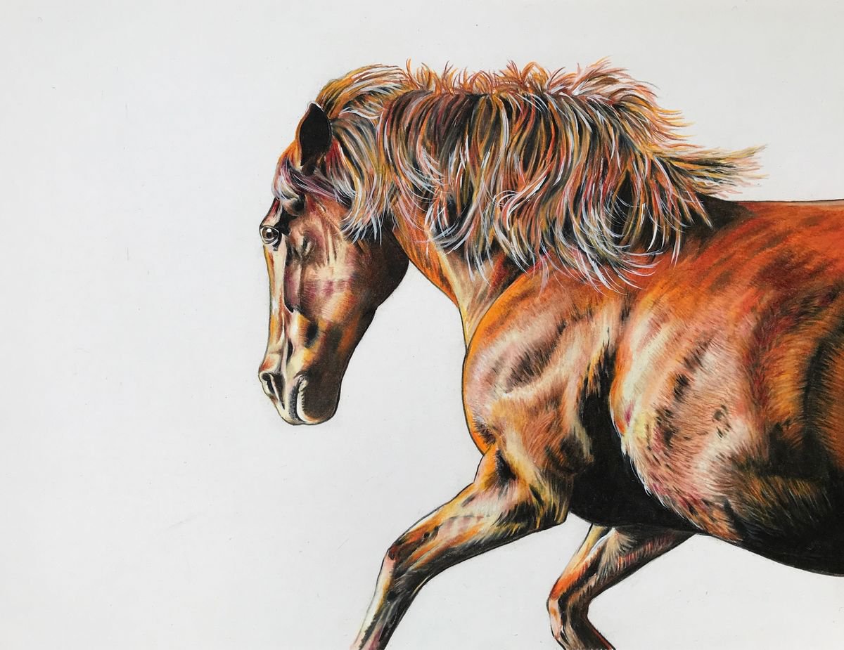 Photorealistic Pencil Drawing , Running Free By Karen Elaine Evans, 14 X 11, Artwork For Sale On Artfinder