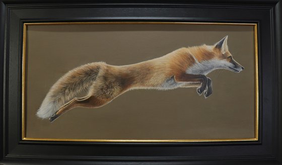 A Fox in Motion