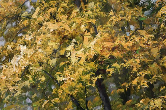 "The Light of an Autumn Day"