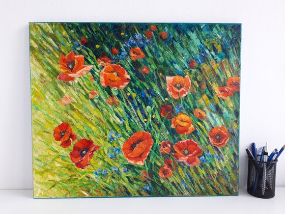Poppy meadow