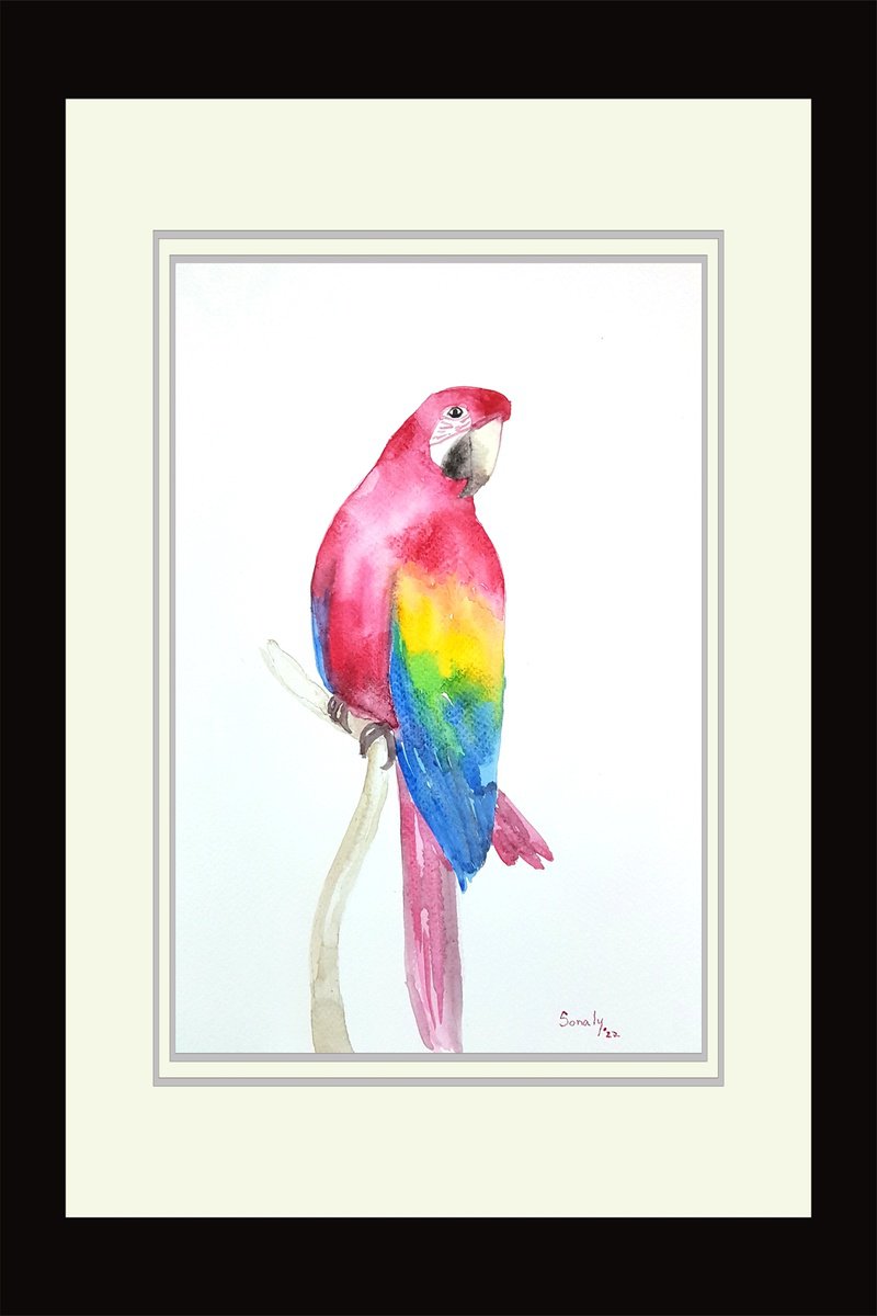 Animal Watercolour By Sonaly Gandhi, 9 X 13", Watercolor - Birds 7, Original Artwork