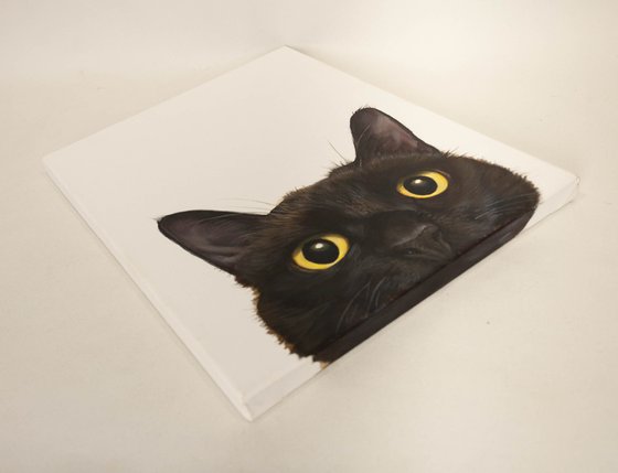"Curious Eyes | Black Cat Hyperrealism"
