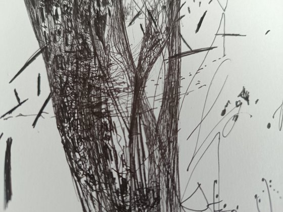 Eternity still life 7.03.2026