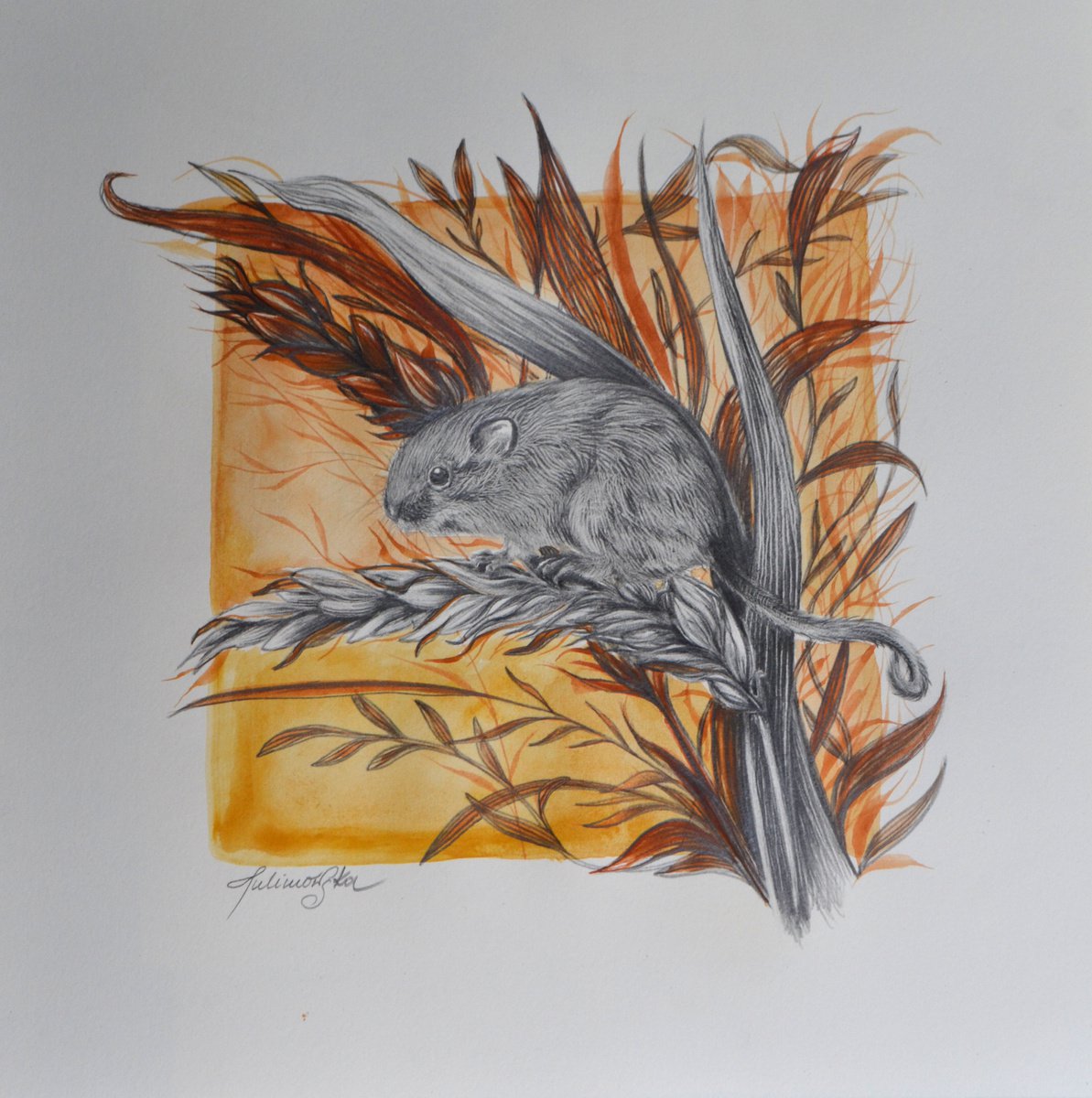 Mouse in the wheat by Maja Tulimowska - Chmielewska
