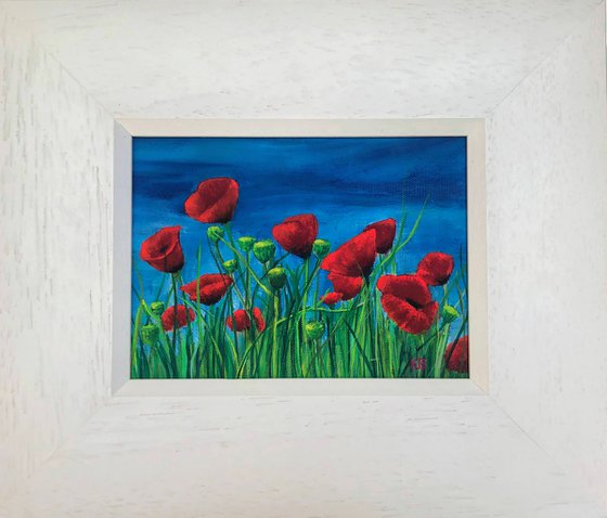 Poppy Field 4