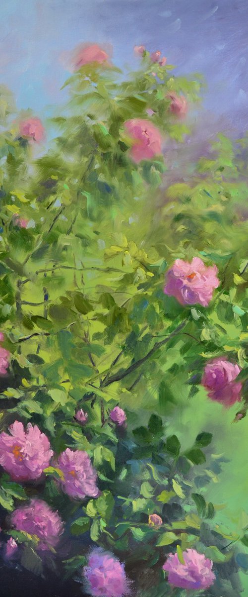 Tea rose by Ruslan Kiprych