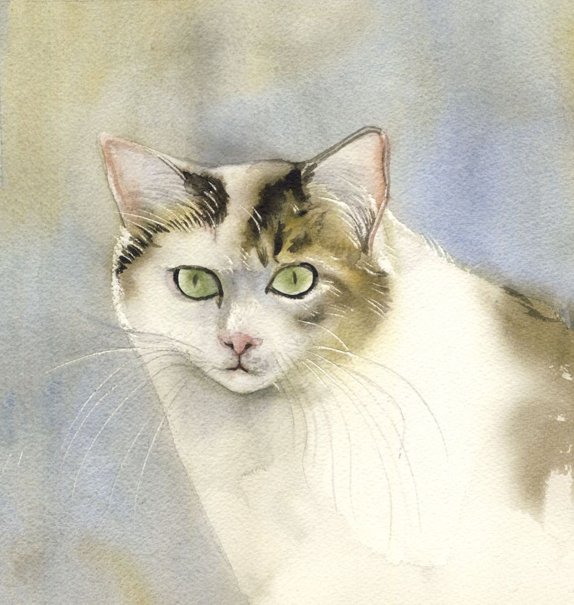 yellow and white cat Watercolour by Alfred Ng | Artfinder