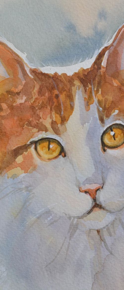 Red And White Cat. by Irina Ushakova