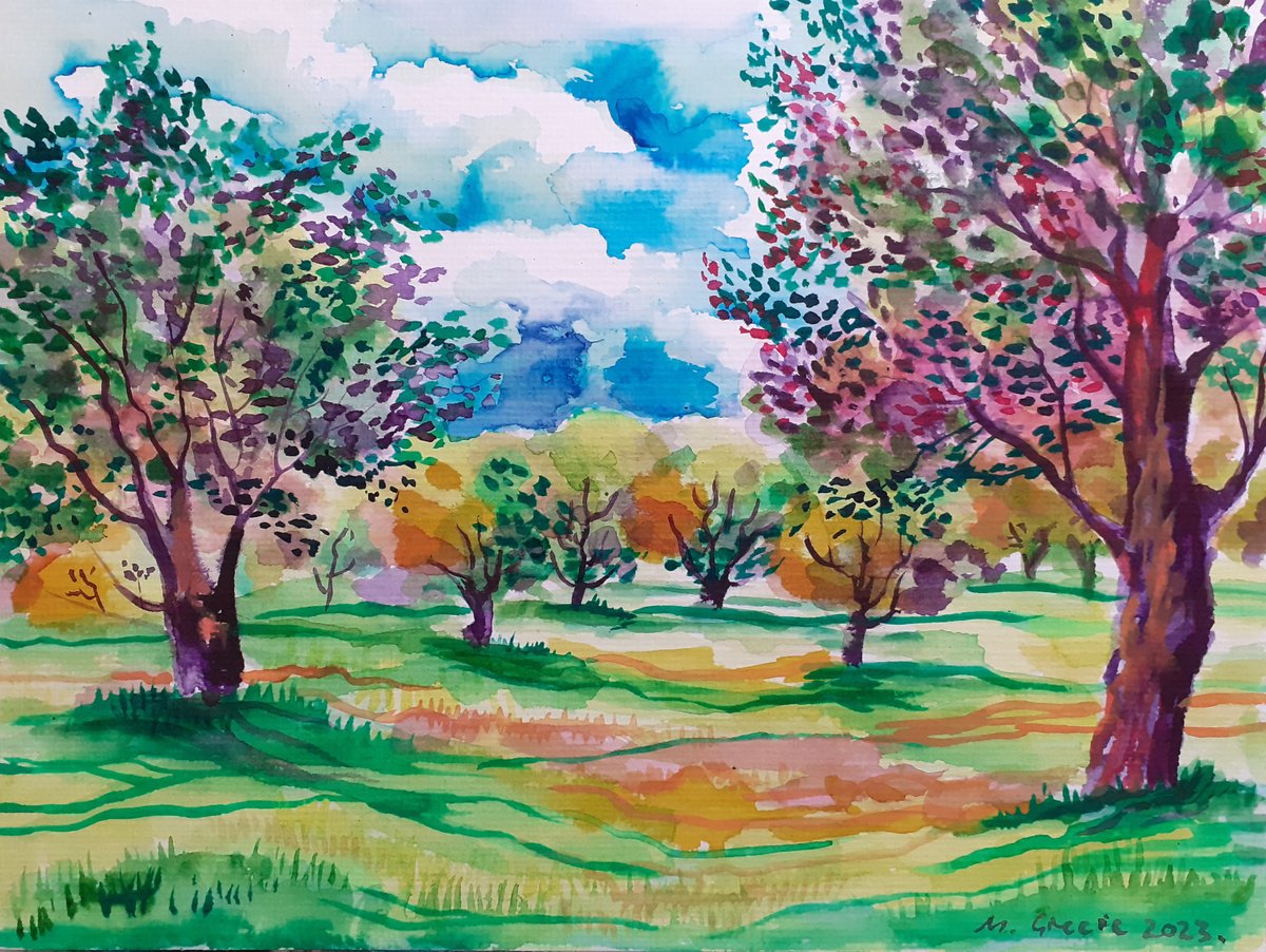 Olive grove with turquois clouds by Maja Grecic
