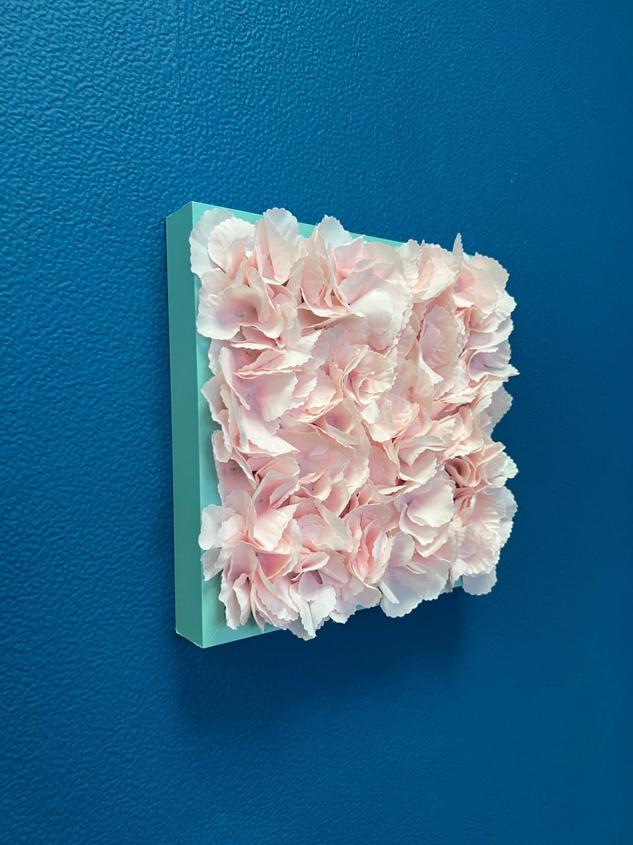 Powder pink roses by Sasha Robinson