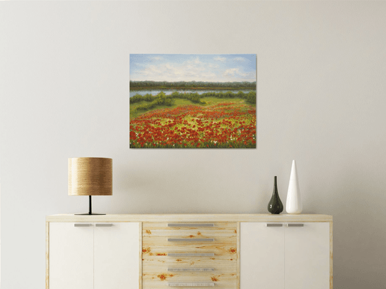 Poppy field