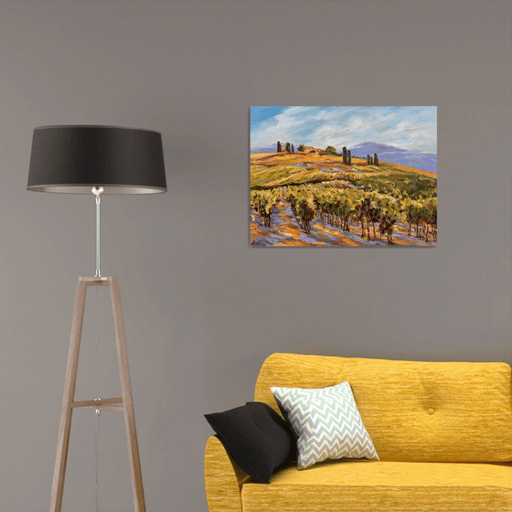 Vignes sous le soleil