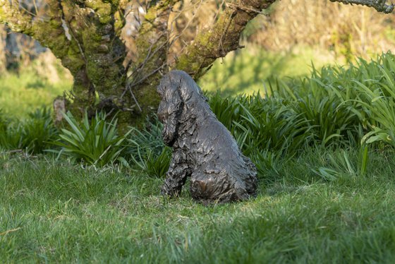 Sitting Cocker Spaniel BR