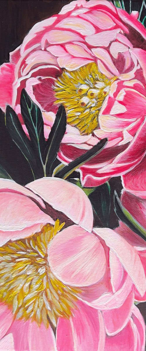 Pink Peony in the Night by Elena Bogatova