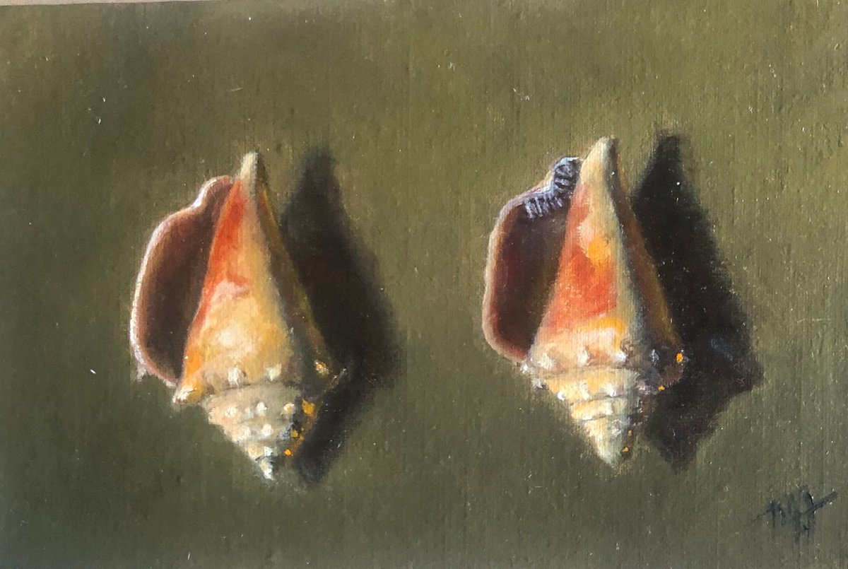 Two Shells by Marybeth Hucker
