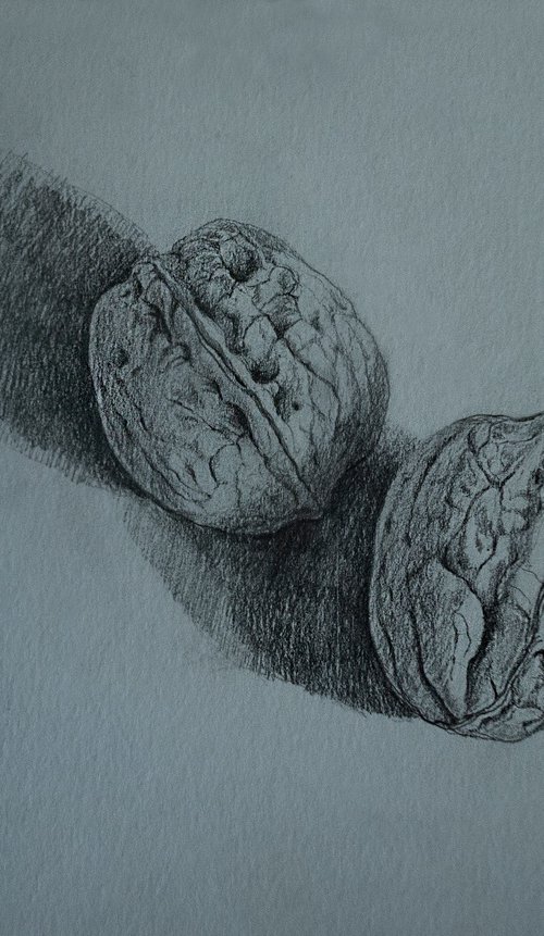 Wallnut Still Life I by Nikola Ivanovic