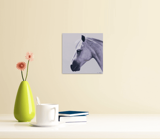 Horse Portrait 11