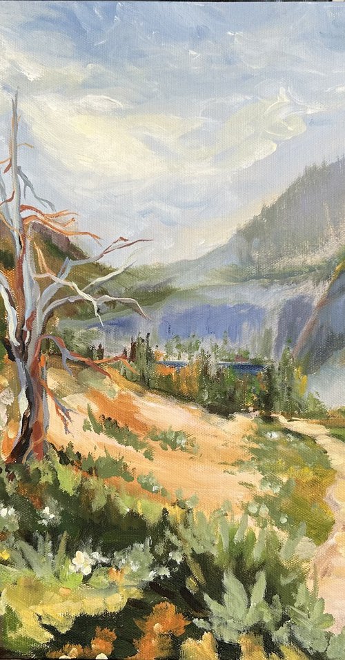 Sierra Mountain Trail by Annette Wolters