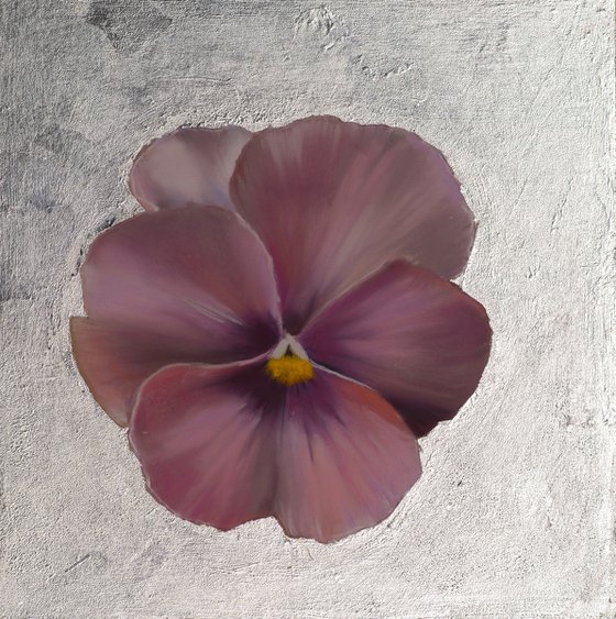 Pansy #12