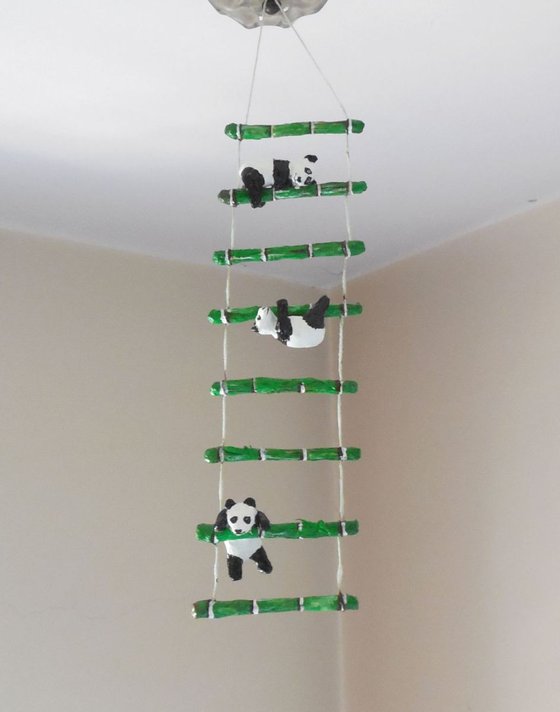 Little Giant Pandas Climbing Ladder