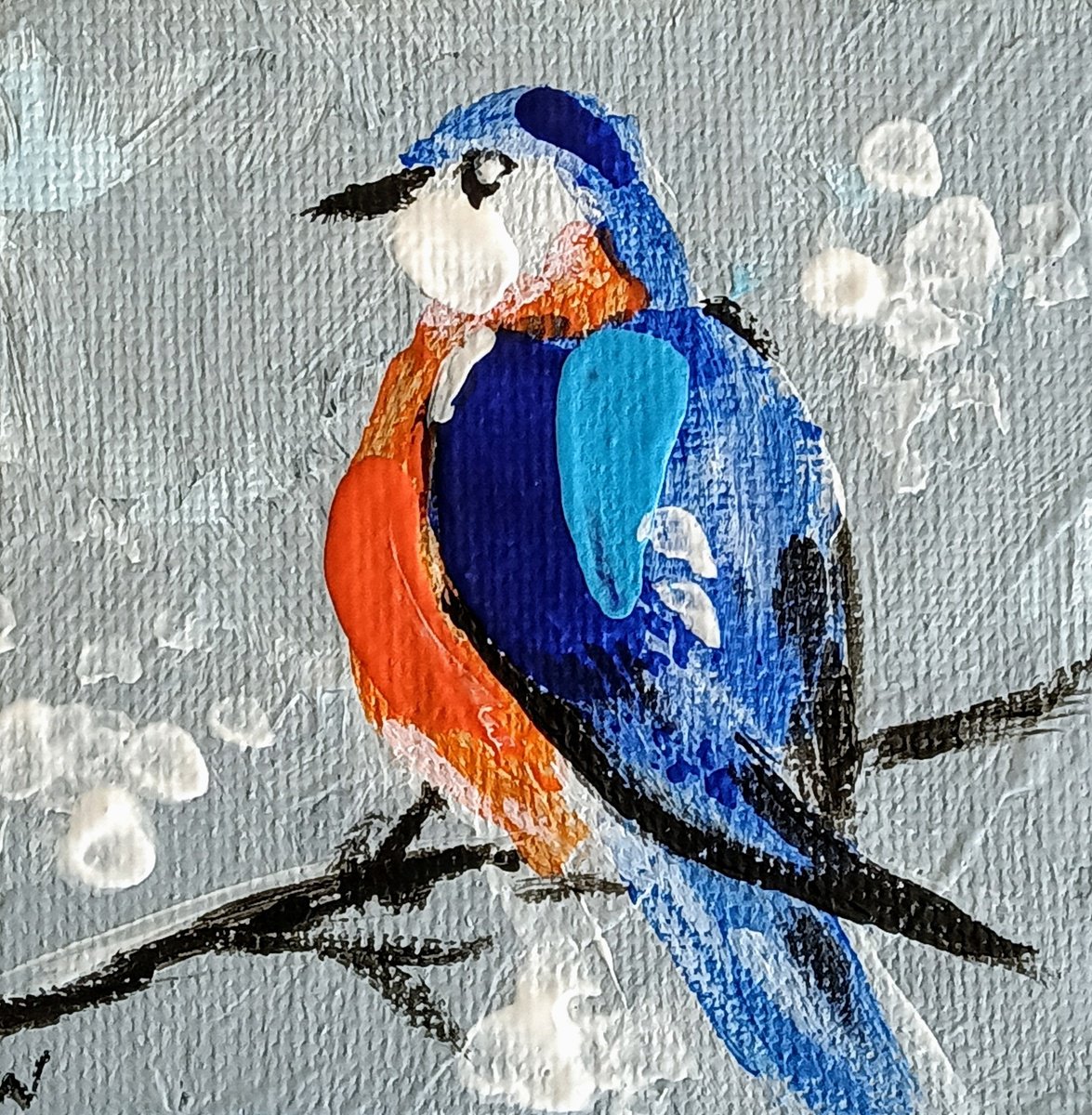 Eastern Bluebird by Svetlana Wittmann