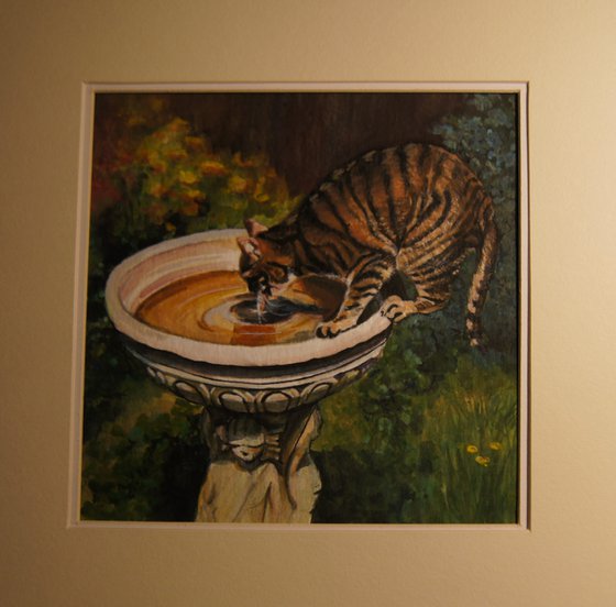 Cat drinking