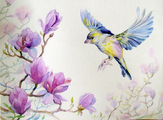 Bird and magnolia.