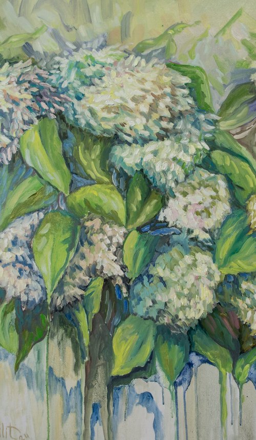 Hydrangea Symphony by Lilit Vardanyan