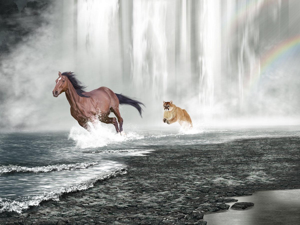Rainbow Warriors by Nigel Follett