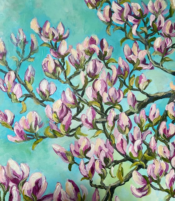 Magnolia in Spring