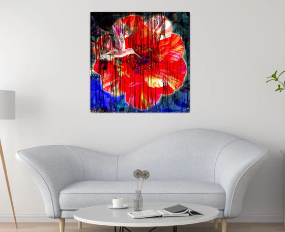 Flower and Colibri