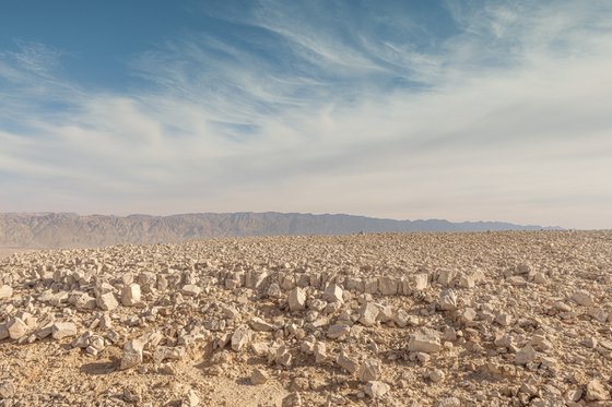 Desert landscape