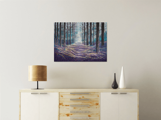 Light Through Winter Trees