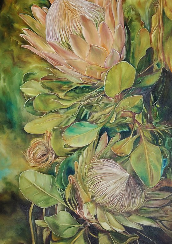Protea