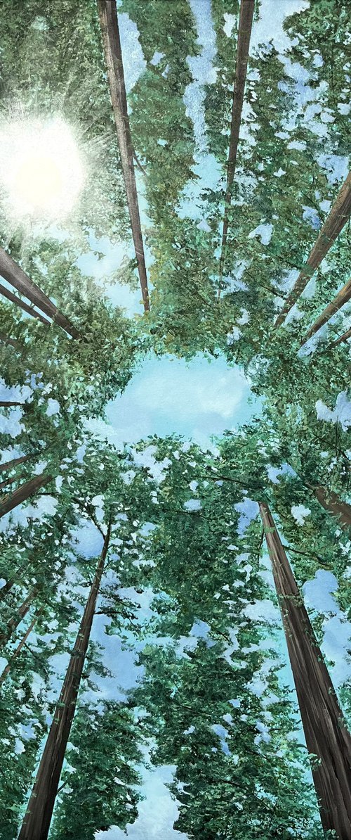 Above by Victoria Obolensky