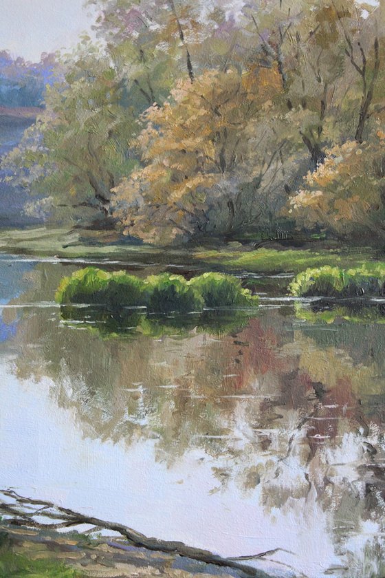 River surface. ORIGINAL OIL PAINTING, GIFT