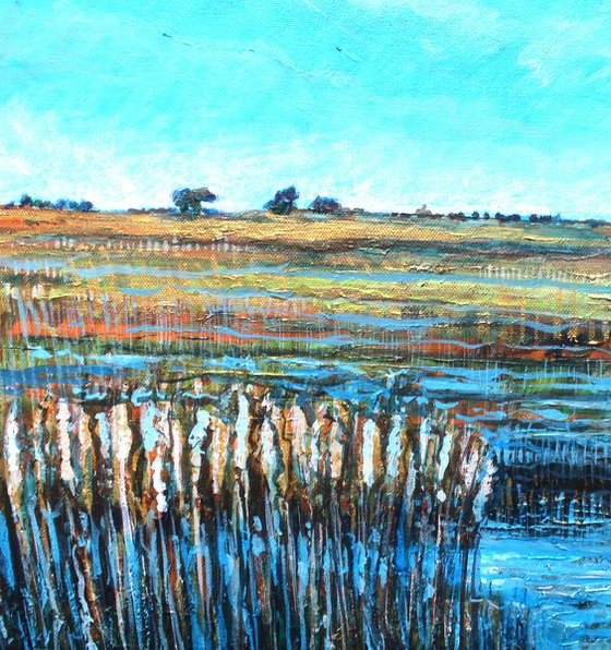 Warsash Reedbeds