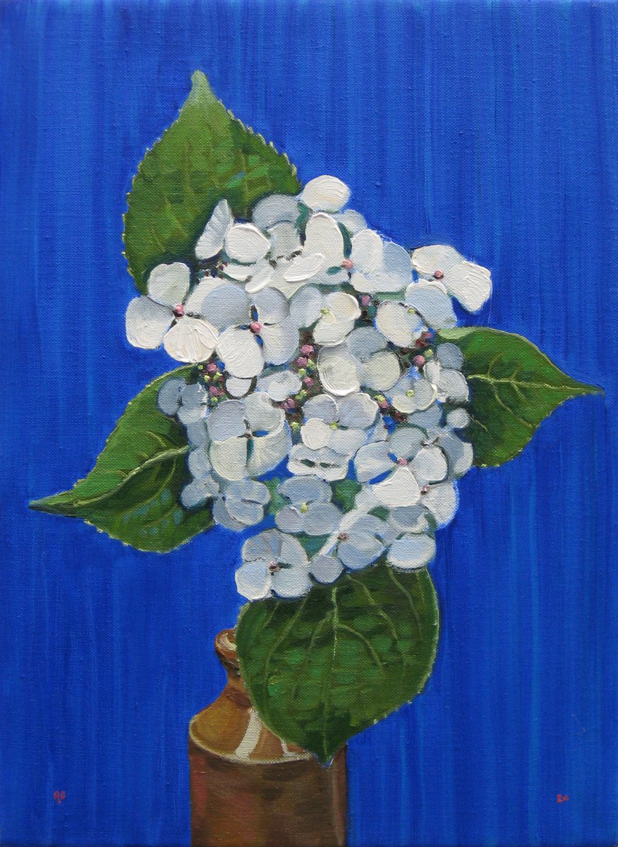 Botanical Oil Painting By Richard Gibson, 10 X 14", Hydrangea 1, Original Artwork