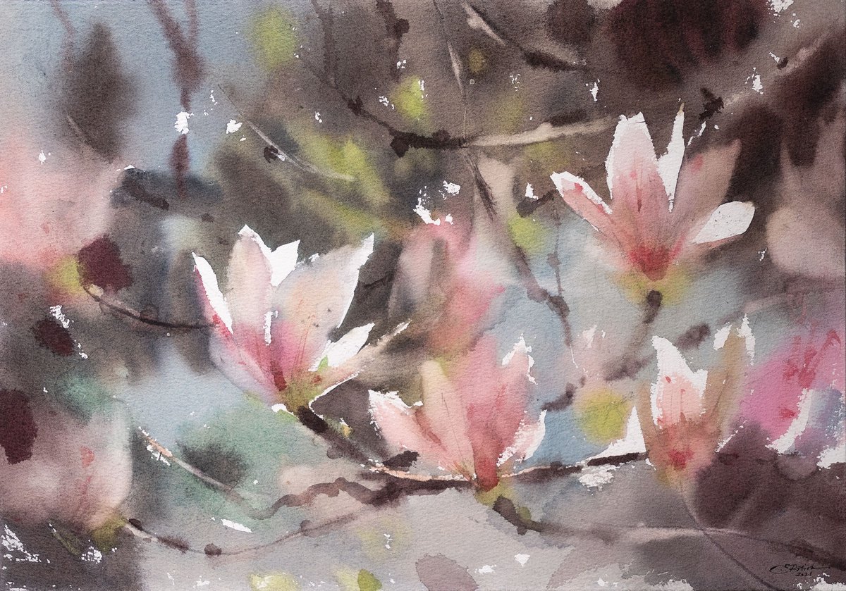 Magnolia blossom by Ekaterina Pytina