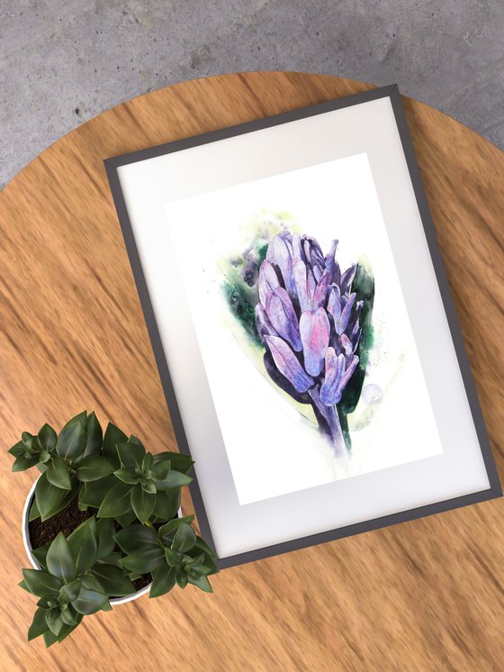 The Most Honourable Hyacinth